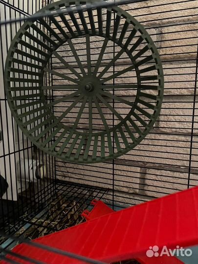 Клетка для грызунов