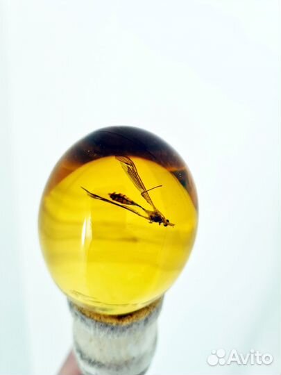 Парк Юрского Периода Jurassic park мега коллекция