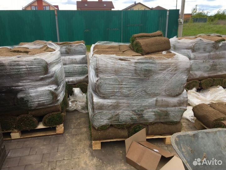 Рулонный газон