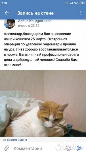 Ветеринарный врач на дом