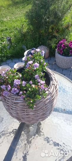 Корзина плетёная 12л и 20л