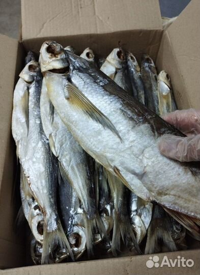 Астраханская вяленая рыба