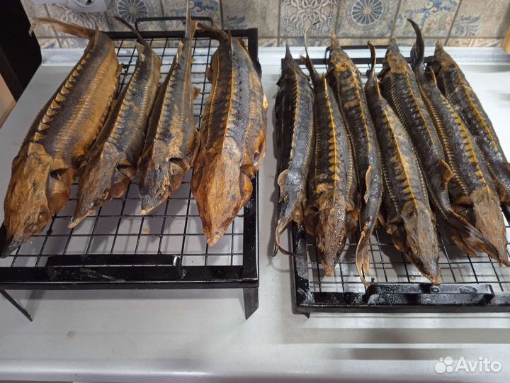 Рыба горячего копчения