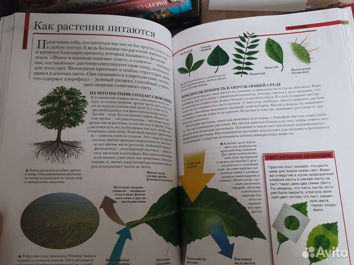 Энциклопедия школьника, Атлас мира