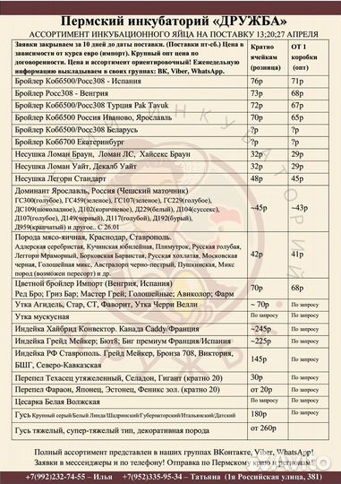 Инкубационное яйцо