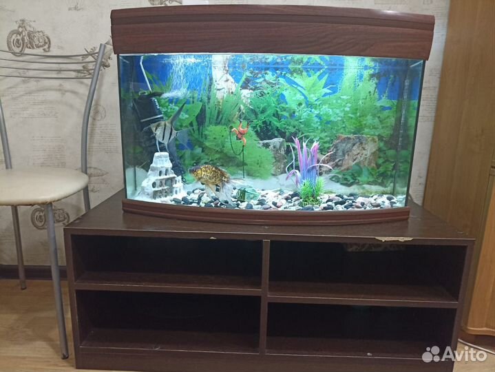 Аквариум на 140 литров