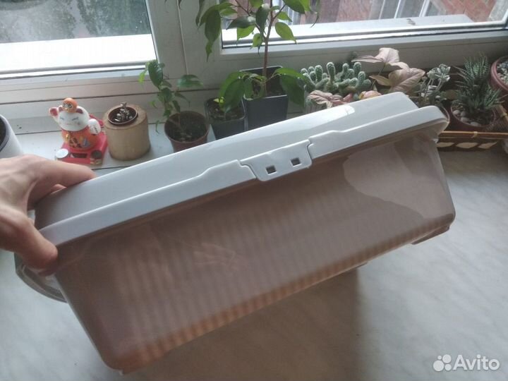 Огромный лоток для кошек