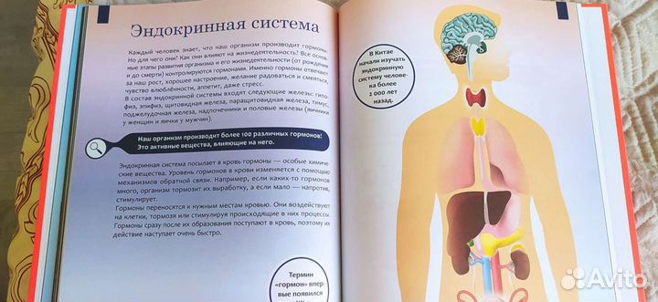 Умная энциклопедия
