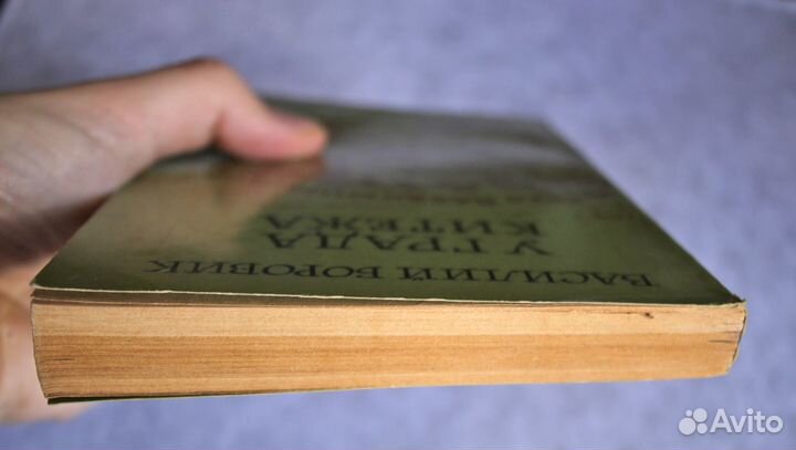 Боровик: У града Китежа