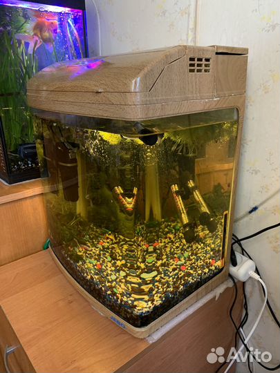 Аквариум