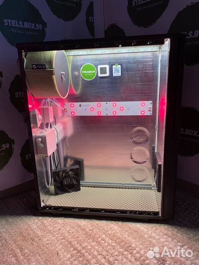 Гроубокс под ключ, стелсбокс, stealth