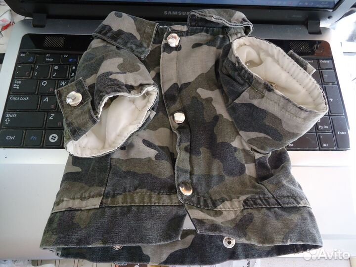 Одежда для маленьких собак