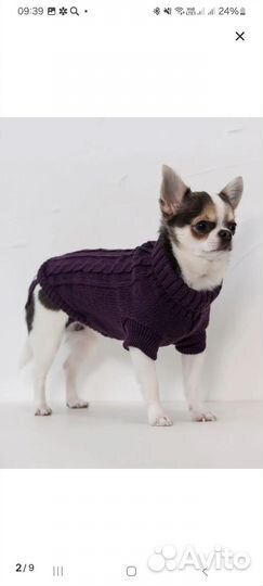 Свитер для собак мелких пород