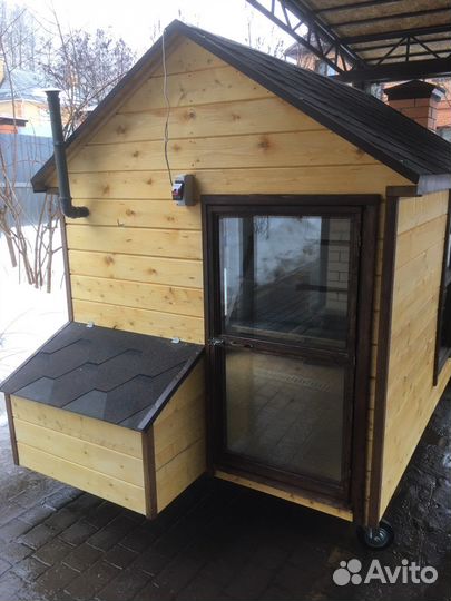 Мини-курятник