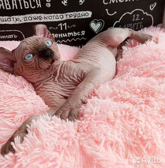 Супер девочка эльф