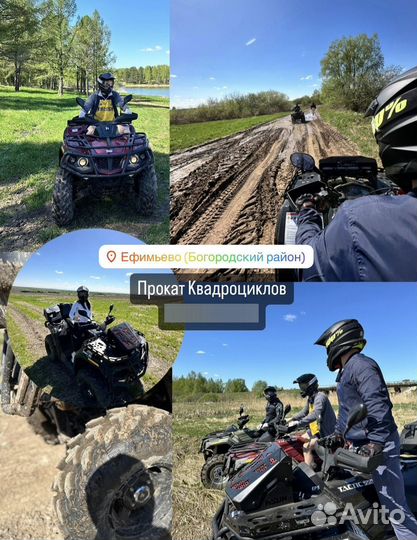 Прокат квадроциклов