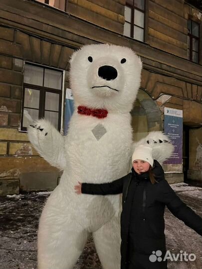 Поздравление от белого медведя 3м аниматор
