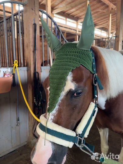 Ушки для лошади, разные
