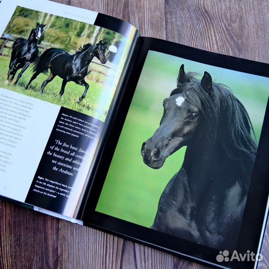 Spirit of the Horse, книга о лошадях из Англии