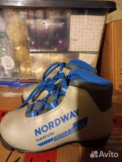 Лыжные ботинки