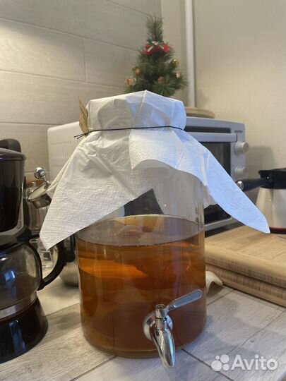 Чайный гриб. Отдам