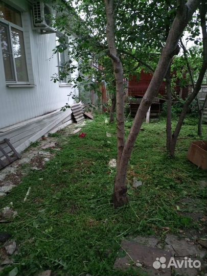 Покос травы газонокосилкой