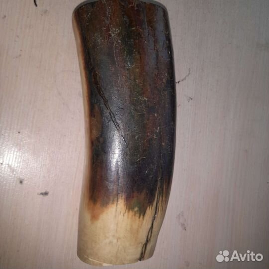 Бивень мамонта