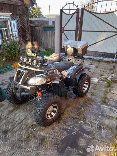 Гризли 250сс механика