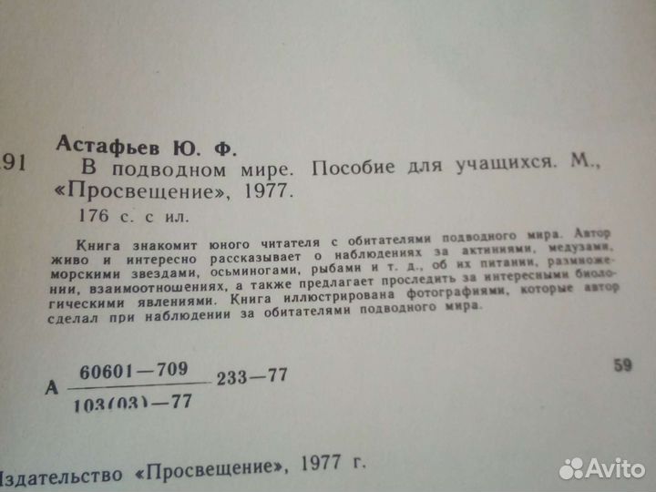 В подводном мире