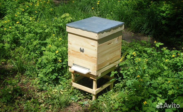 Улей, рамки