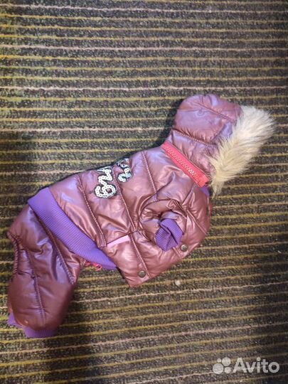 Комбинезон для маленькой собачки