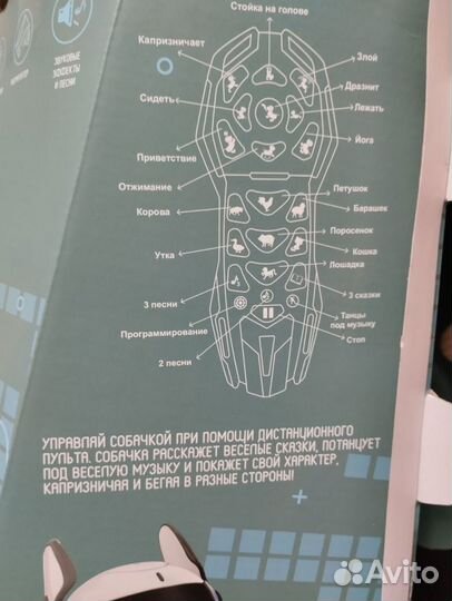 Радиоуправляемый робот Тошка