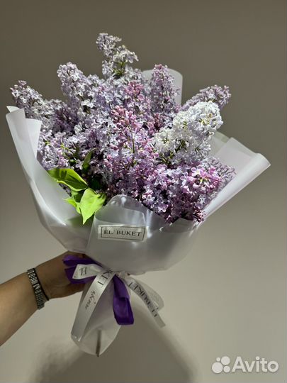 Сирень букет сирени