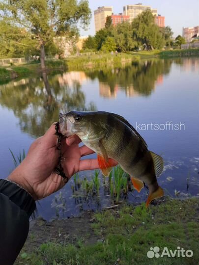 Уроки по спиннингу с берега