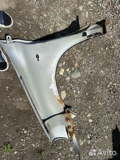 Крылья калина передние