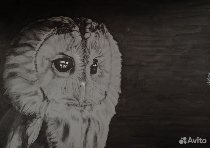 Сова. А3. Картина