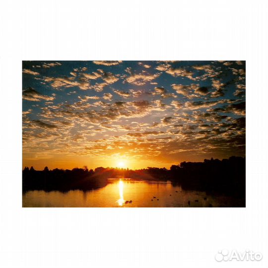 Плёночный фотоаппарат Olympus mju ll Zoom 115