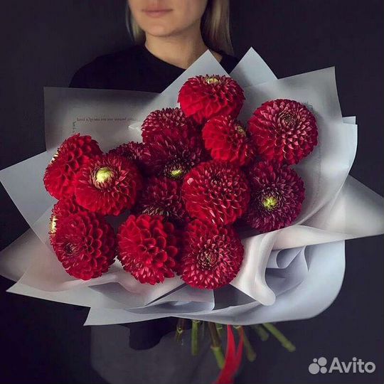 Георгины+доставка