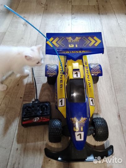 Машина на радиоуправлении
