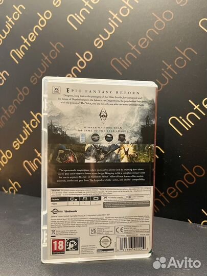 Nintendo switch skyrim