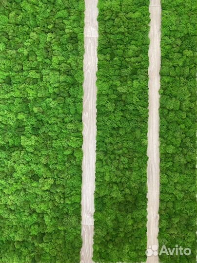 Фитостена, панно из мха и искусственных растений