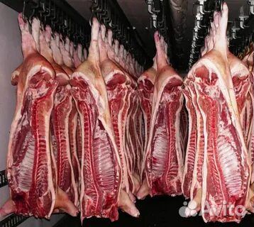 Мясо свинина