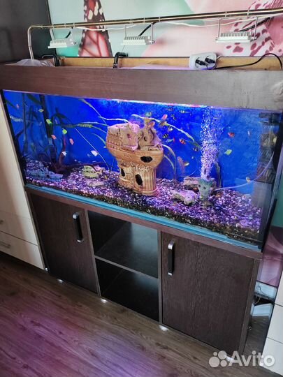 Аквариум
