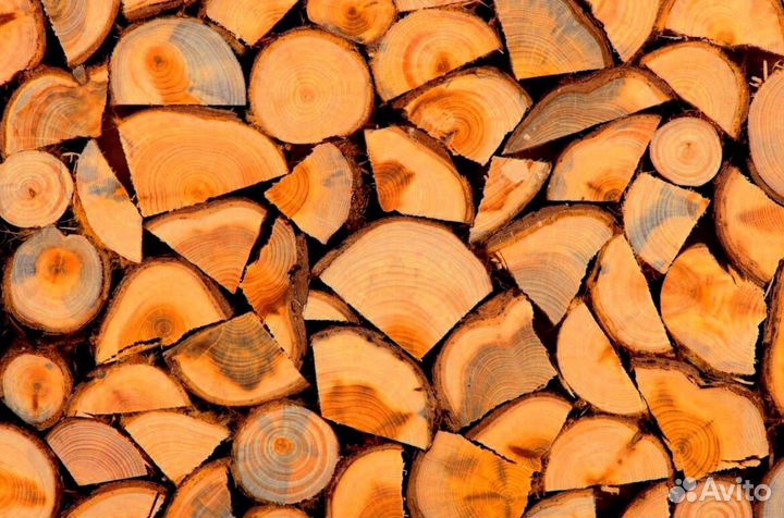 Дрова с Выборга