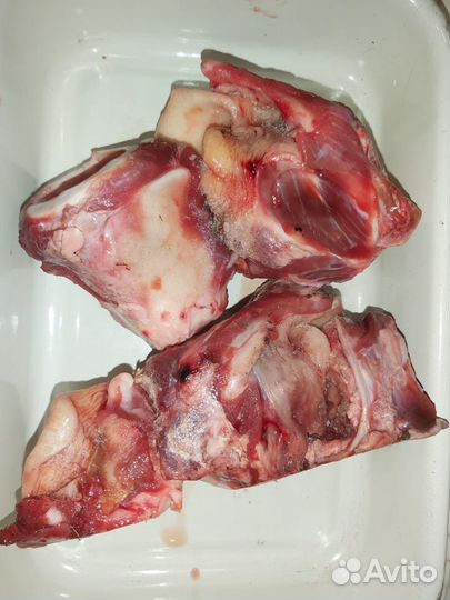 Мясо для собак