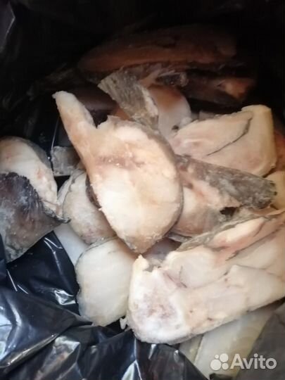 Продам на корм свежемороженные отходы