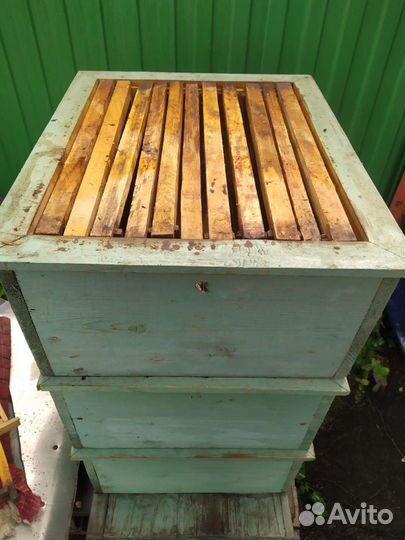 Улей для пчел
