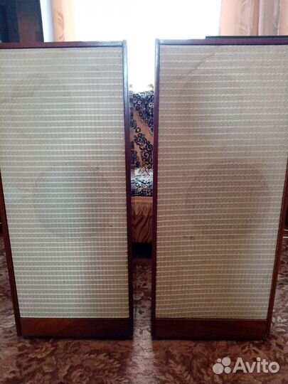 Акустика эстония