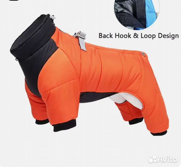 Одежда для маленьких пород собак