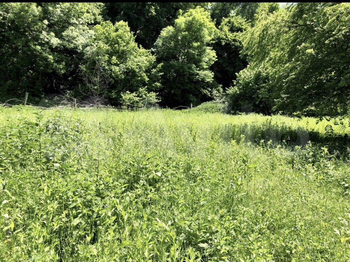 Участок 44 сот. (ИЖС)